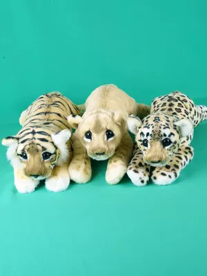 Тигрица Багира и львица Ая из зоопарка Барнаула родили детенышей на Пасху |  ОБЩЕСТВО | АиФ Барнаул