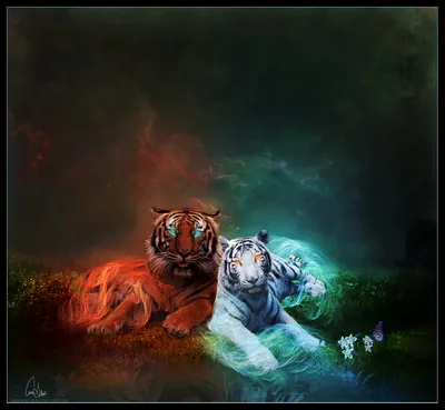 Фото Тигр и белая тигрица у реки