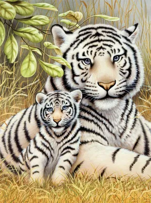 Девушка и тигр картинки - 69 фото