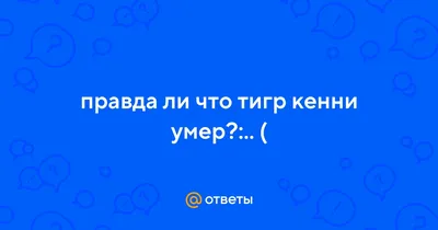 Обои на рабочий стол Тигр лежит на дереве, обои для рабочего стола, скачать  обои, обои бесплатно