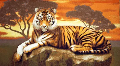 Обои Животные Тигры, обои для рабочего стола, фотографии животные, тигры,  тигр, лежит, смотрит Обои для рабочего стола, скачать обои картинки  заставки на рабочий стол.