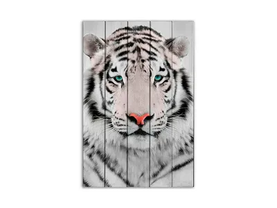 Купить картина по номерам Белоснежка «Тигр на дереве» холст на подрамнике,  30х40 см, цены на Мегамаркет | Артикул: 600004799623