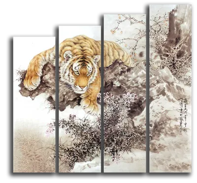 Бесплатные стоковые фото на тему белый тигр, дерево, животное, животные в  дикой природе, квадратный формат, лежащий