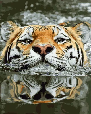 Тигр плывёт под водой,ловит рыбу…» — создано в Шедевруме