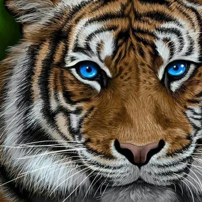 Тигр с голубыми глазами акварель …» — создано в Шедевруме