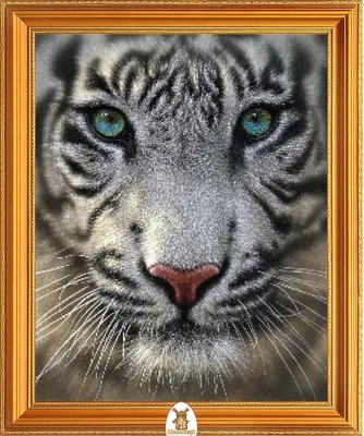 Тигр с голубыми глазами, мужская тату на плече - фото татуировок | Tiger  tattoo, Tiger tattoo sleeve, Animal sleeve tattoo