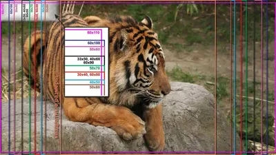 Тигр сидит - картинки и фото koshka.top