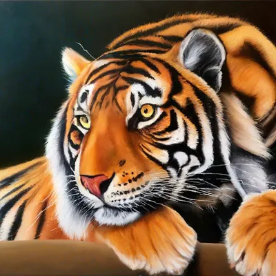Тигр сидит в парке стоковое изображение. изображение насчитывающей зеленый  - 156725507