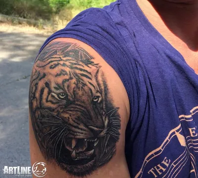 Тату тигр (175 фото) - значение татуировки, эскизы 2023
