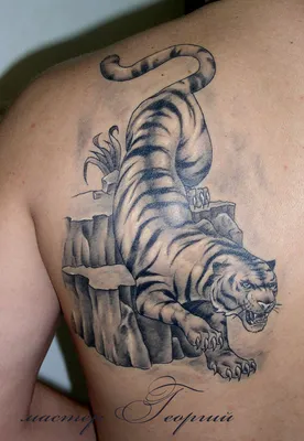 Водостойкая Временная тату-наклейка «Большой Тигр», цветные животные, волк,  леопард, лиса, переводная татуировка на пол руки, имитация флеш-татуировки  | AliExpress