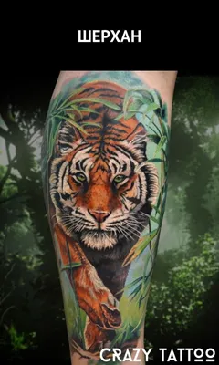 Tattoo • Тату Тигр: популярные стили и композиции