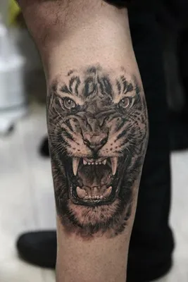 Большой водостойкий тигр-дракон, татуировка на всю спину, наклейка-тату,  временная татуировка – лучшие товары в онлайн-магазине Джум Гик
