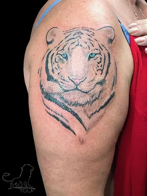 Татуировка женская олд скул на плече тигр - мастер Анастасия Родина 5988 |  Art of Pain