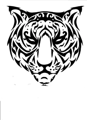 фото мужской татуировки на руке в стиле графика реализм житвотное тигр /  Тату салон «Дом Элит Тату»