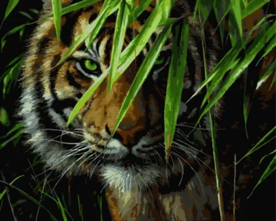Тигр в джунглях - картина маслом