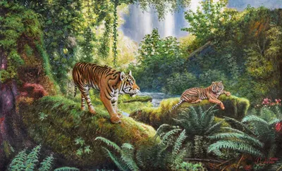 Тигр в джунглях » Рыжие тигры » Кошачья галерея » Magnus Felidae (Великие  Кошачьи) - красота и превосходство!