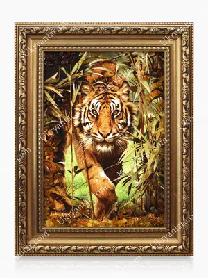 Из джунглей в город: приключения тигра Раджы на его новом Bentley | Разные  интересные истории | Дзен