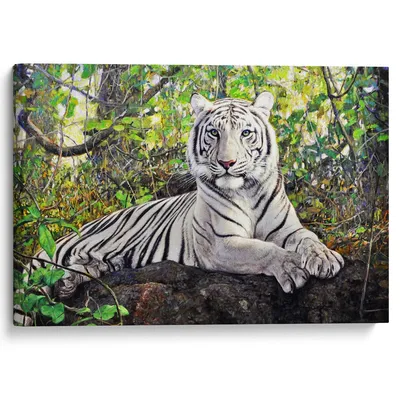 Тигр в джунглях стоковое фото. изображение насчитывающей охотник - 163770548
