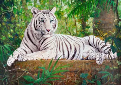 Вятские картины на холсте \"Азия молодой Индия тигр джунгли\" на подрамнике /  декор для дома / интерьер / на стену | AliExpress