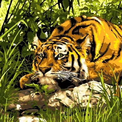 Тигр в джунглях стоковое фото. изображение насчитывающей пуща - 163768134