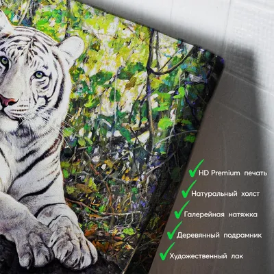 Сибирский Тигр В Джунглях Смотрит В Камеру — стоковые фотографии и другие  картинки Тигр - Тигр, Глаз, Без людей - iStock