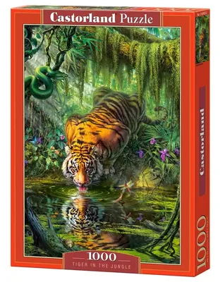 Тигр в джунглях стоковое изображение. изображение насчитывающей бобра -  65711401