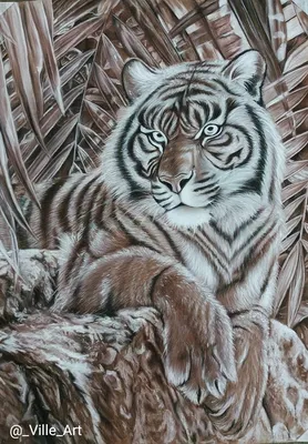 Картина по номерам - Тигр в джунглях - МНОГОКНИГ.ee - Книжный  интернет-магазин
