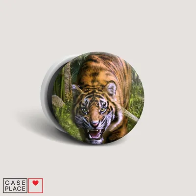 Картина по номерам LORI Тигр в джунглях купить по цене 251 ₽ в  интернет-магазине Детский мир