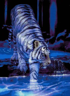 Картина по номерам \"Тигр в воде\" 30х40 см купить по цене 590 ₽ в  интернет-магазине KazanExpress
