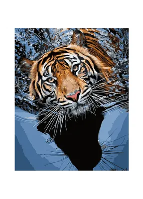 Купить картину Бенгальский тигр. Отдых в воде в Украине | Фото и  репродукция картины на холсте в интернет магазине Макросвит