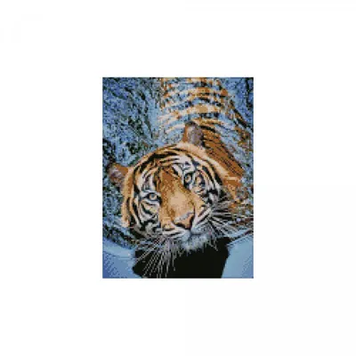 Картина по номерам Тигр в воде купить в интернет-магазине, подарки по  низким ценам
