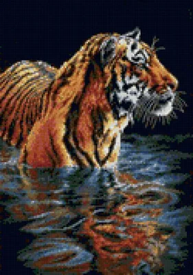 Тигр в воде » Рыжие тигры » Кошачья галерея » Magnus Felidae (Великие  Кошачьи) - красота и превосходство!