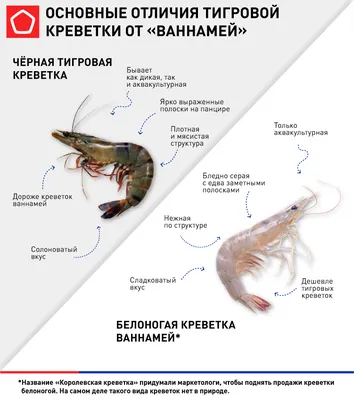 Тигровая креветка Киев,красная икра Киев,икра красная,креветки