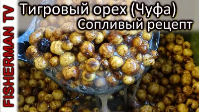 Купить Тигровый орех Texx Carp Chufas Bou Tiger Nut XXL 11-13mm 1kg в  Алматы в рыболовном интернет-магазине master-fish.kz