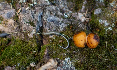 Архив Чуфа ( тигровый орех, Tiger nuts, земляной миндаль): 130 грн. - Орехи  и сухофрукты Каховка на BON.ua 95473291