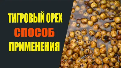 Насадочный тигровый орех MINENKO «TIGER NUT» (120мл) купить в рыболовном  интернет-магазине «MINENKO»