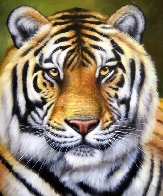 Картины Львы и тигры \"Бенгальский тигр\" - арт 018060004 | Купить в  интернет-магазине Фото в дом - Фото в дом