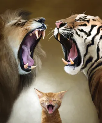 Кому же все-таки принадлежит титул «самой большой кошки»: льву или тигру |  Заметки о животных | Дзен