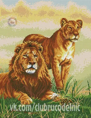 Фотообои Для девочек \"Красивый рисунок львы и тигры в саванне\" - арт  003060019 | Купить в интернет-магазине Фото в дом