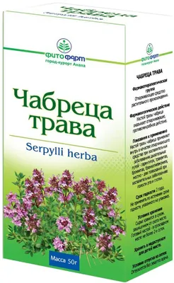 Тимьян блошиный Thymus pulegioides, купить в питомнике, Времена года  Лесколово