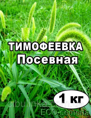 Семена Трава Тимофеевка луговая, 1 кг ✔️ 100 грн. ᐉ Семена газонных трав в  Обухове на BON.ua 89669167