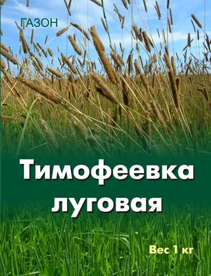 Тимофеевка луговая на Пульсе Цен, купить в Гродно