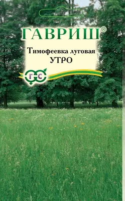 Тимофеевка луговая семена, цена в Екатеринбурге от компании Интер Строй  Групп