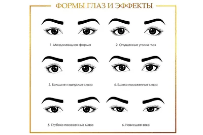 Какие бывают формы глаз и какой эффект наращивания будет смотреться более  выигрышно в том или ином случае? .. | ВКонтакте