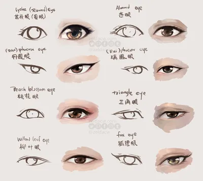 Личностный тест: узнай свой характер по типу и цвету глаз | Mixnews