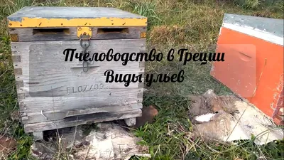 Жизнь в греческой деревне. Пчеловодство в Греции. Типы ульев - YouTube