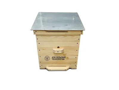 Какой улей выбрать начинающему пчеловоду? Системы, типы, конструкции ульев  и рамок.. Статьи компании «UleyTop»