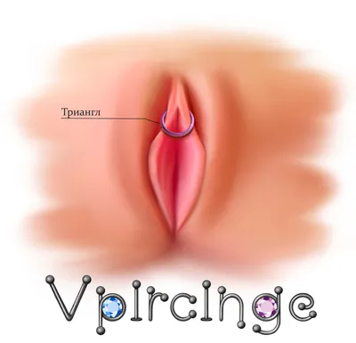Виды интимного женского пирсинга студия Vpircinge СПб