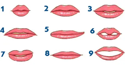 От чего зависит строение половых губ?Виды половых губ. | eromaniay | Дзен