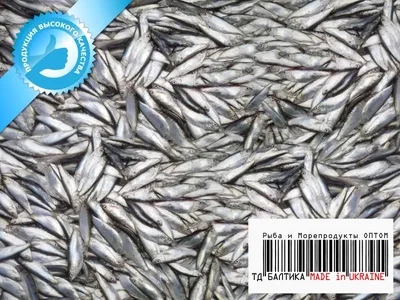 Купить тюльку для рыбалки | Низкие цены | Москва